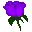 s_rose.gif (1031 bytes)