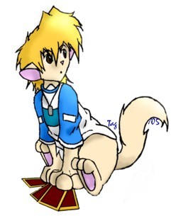 Joey_kitty.jpg (19692 bytes)