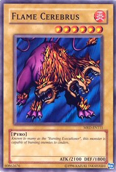 flame.jpg (45309 bytes)